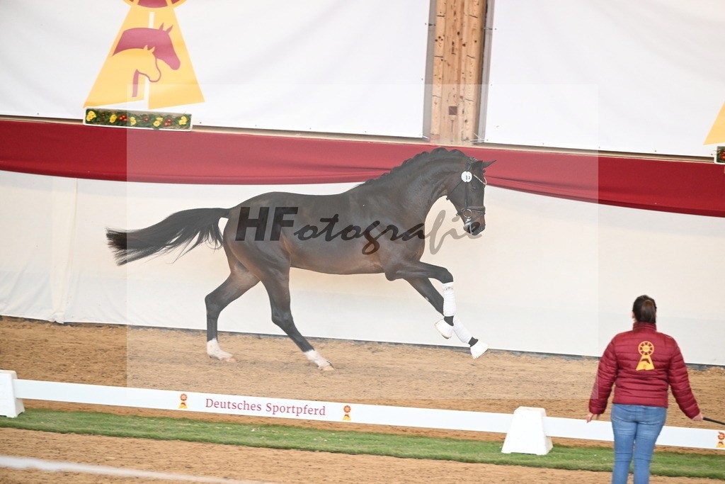 Kat.-Nr. 89 v. Vivaldon_Beckmann_2250846 | hf-fotografie - Realisiert mit Pictrs.com