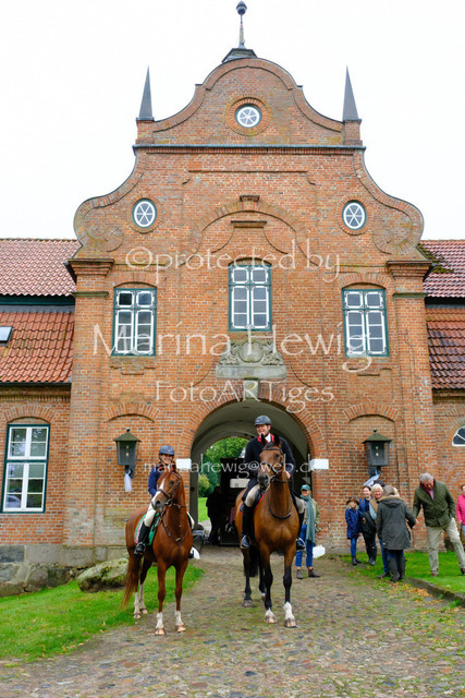 Jagd Kletkamp 26-9442_MarinaHewig | Fotografie, FotoArt, PferdesportArt, Pferdesportfotografie, Landschaftsfotografie, Reisefotografie, Reise, Pferde - Realisiert mit Pictrs.com