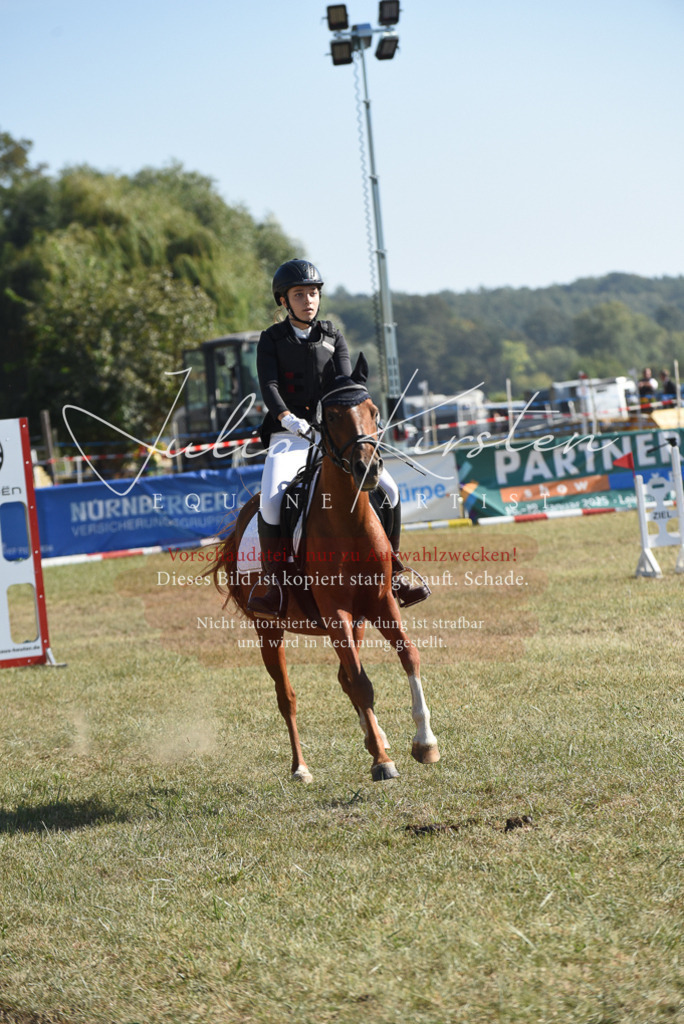 DSC_5916 | Pferde- und Turnierfotografie in Westsachsen. Pferdeportraits, Auftragszeichnungen und intuitive Kunst.