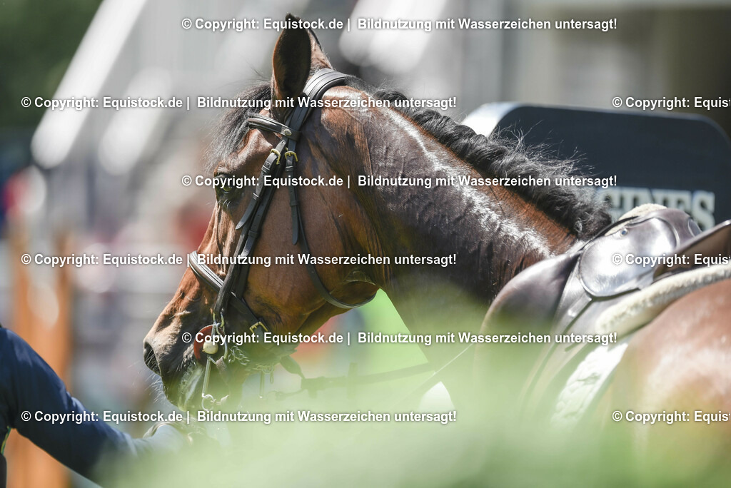 20230527_27_CCI4_Gelände_0137 | equistock