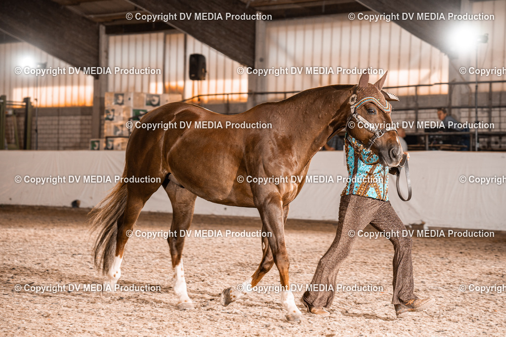 ZH100126 | dv-media-shop - Realisiert mit Pictrs.com