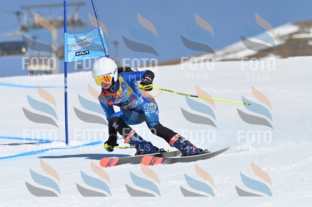 BGV_8077 | holidayphoto