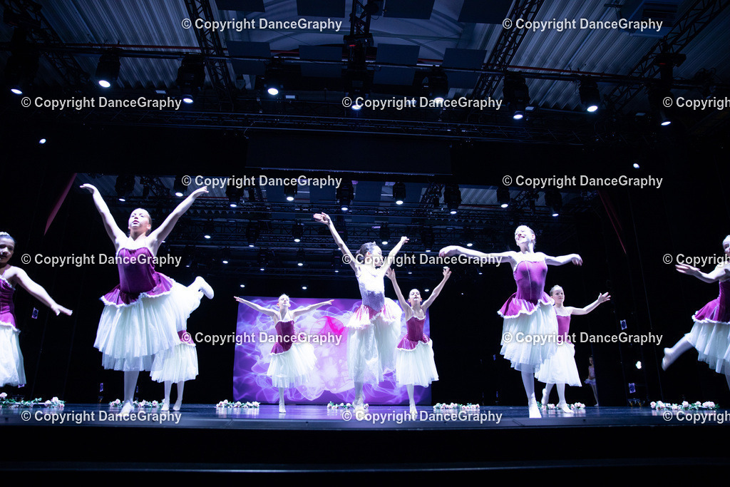 GPHY4821 | DanceGraphy - Realisiert mit Pictrs.com