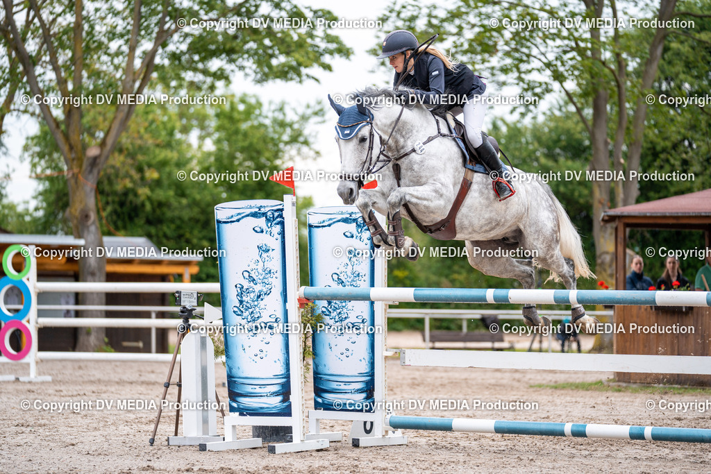 Eppelheim Tag 2-126 | dv-media-shop - Realisiert mit Pictrs.com