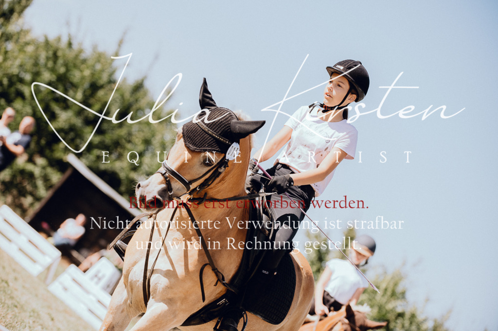 DSC_7205 | Pferde- und Turnierfotografie in Westsachsen. Pferdeportraits, Auftragszeichnungen und intuitive Kunst.