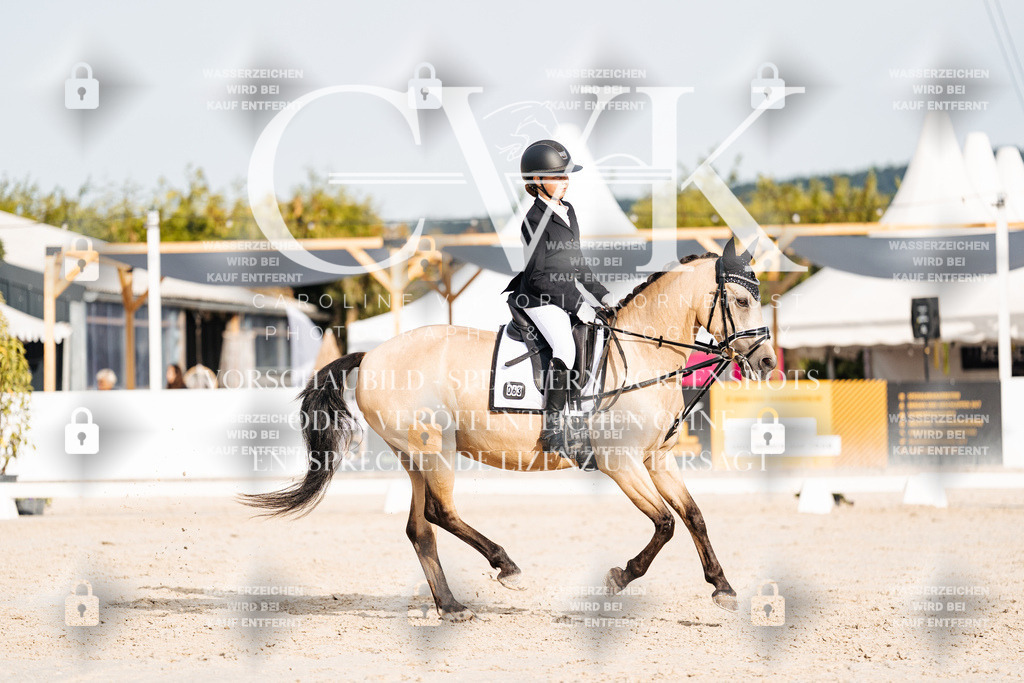 CK904244 | Turnierfotografie Pferdefotografie Trier Rheinland-Pfalz Pferdesport Reitsport Tierfotografie Sportfotografie Pferdevideo Pferdevideografie Equestrianvideography equestrianphotography  - Realisiert mit Pictrs.com