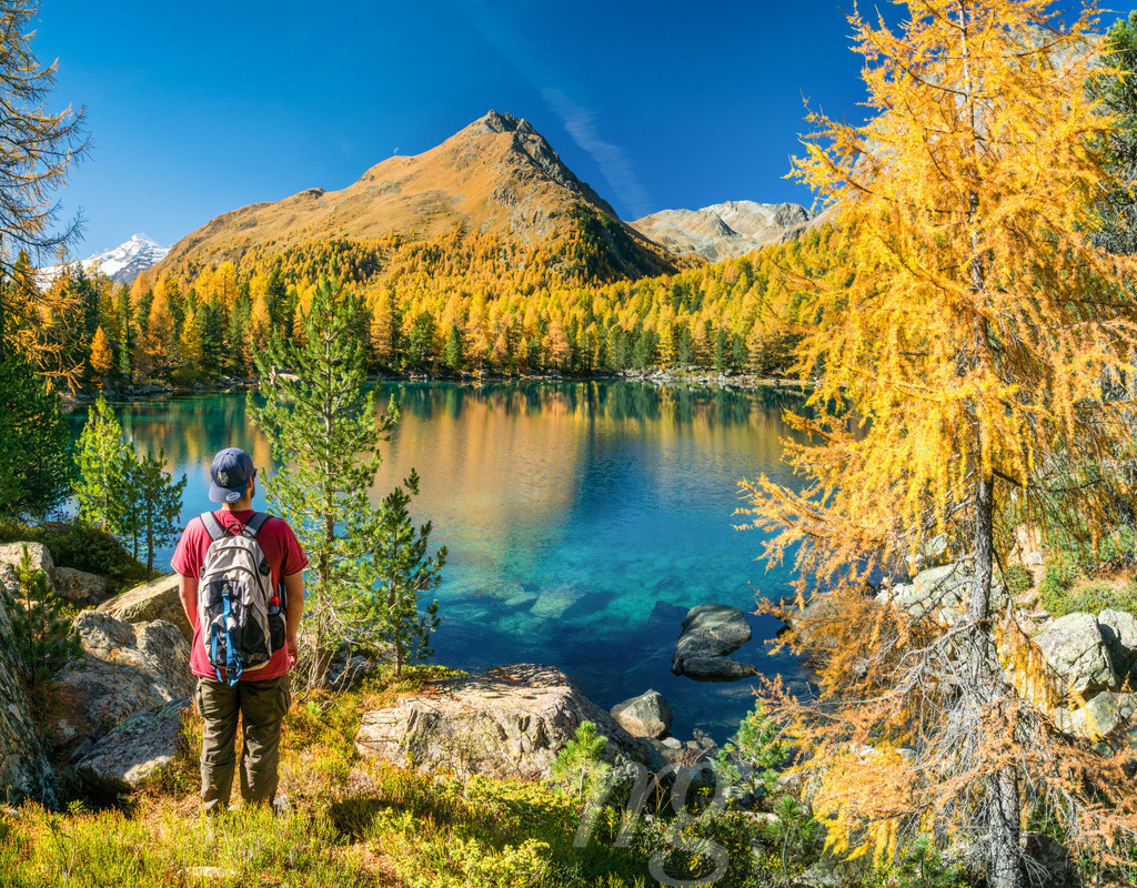 Wanderer am Lago di Saoseo im Herbst, Puschlav, Schweiz | Die ideale Geschenkidee für Naturliebhaber. Naturbilder von Marcel Gross Photography für ihr Zuhause in den verschiedensten Formaten und Materialien. - Realisiert mit Pictrs.com