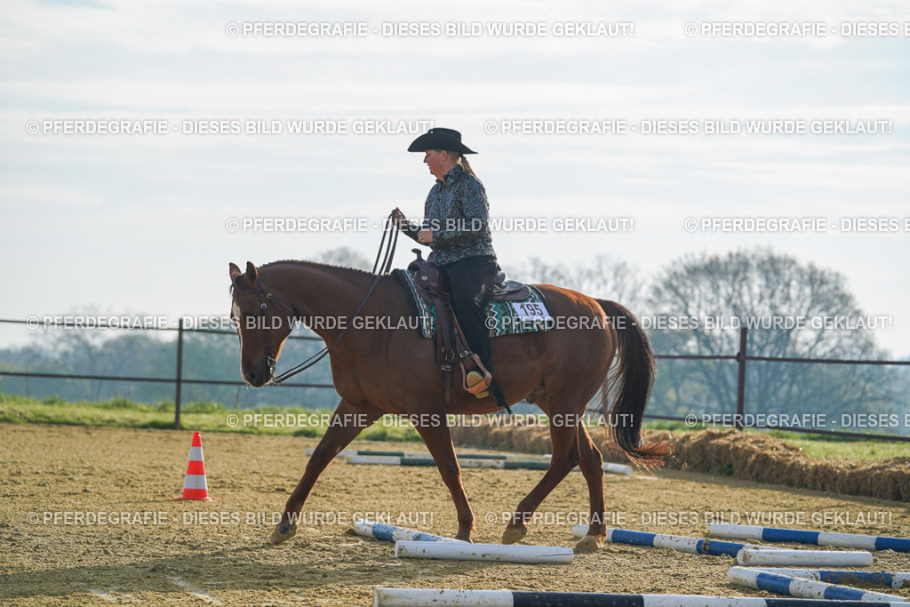 DSC00589 | Pferdegrafie