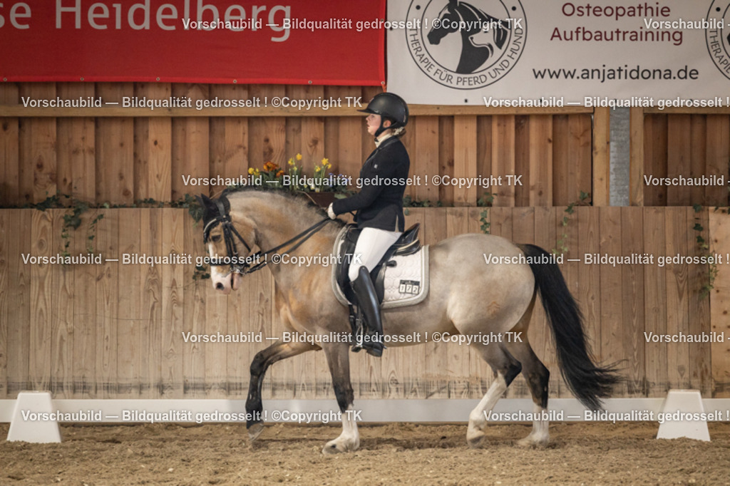 _D5A9089 | Emotionale Pferde- & People-Fotografie rund um Heidelberg, Leimen & Umgebung. Natürliche Fotos von Pferd, Mensch & Familie. Jetzt Termin sichern!