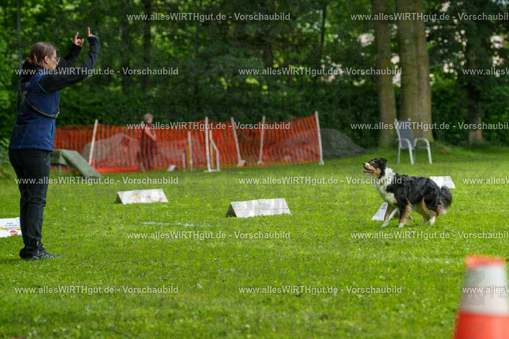 @allesWIRTHgut_Tierfotografie - www.allesWIRTHgut.de - 7R502325 | Professionelle Tierfotografie in Mönchengladbach von Daniel Wirth (allesWIRTHgut). Liebevolle & natürliche Bilder von Hunden & Katzen für unvergessliche Erinnerungen.