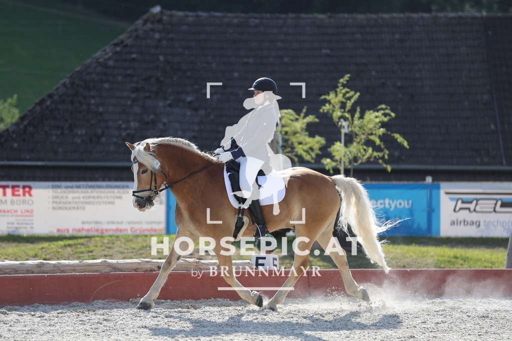 0P6A8724 | Willkommen bei Brunnmayr - Design & Fotografie – Ihrem Spezialisten für Reitturniere und Pferdeveranstaltungen in Oberösterreich, Salzburg und Bayern! Seit über 17 Jahren sind wir leidenschaftlich dabei.