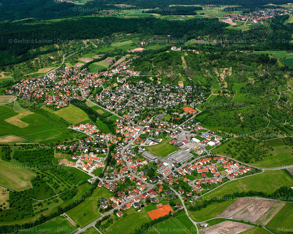 2506804 | Lippoldsweiler, Auenwald