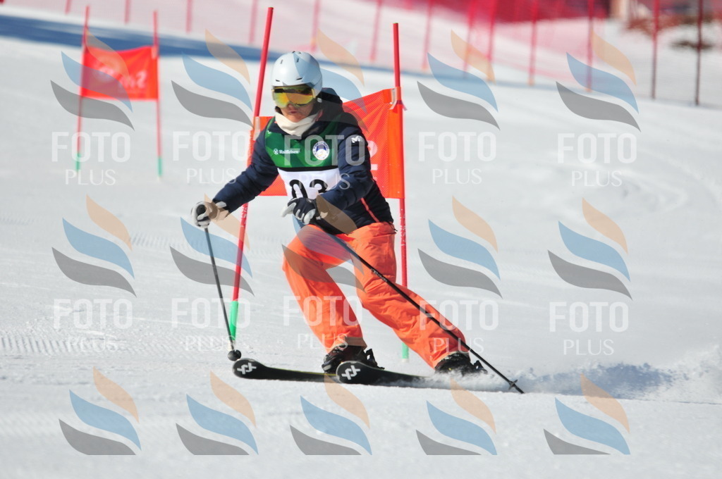 C2314 | holidayphoto