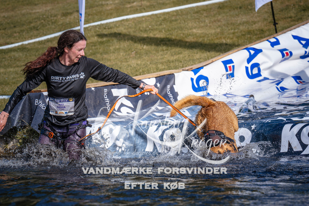 _ZZ981000754 | kk-dogfotos