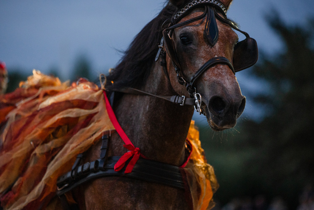 846A0941 | fotosleben - Realisiert mit Pictrs.com