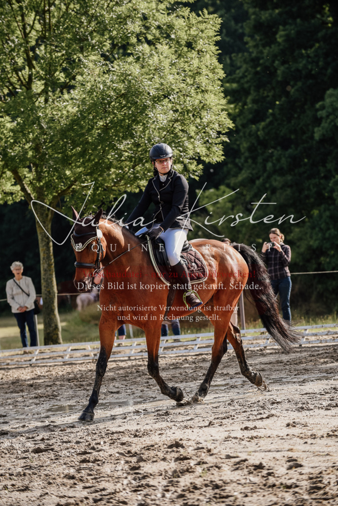 DSC_8483 | Pferde- und Turnierfotografie in Westsachsen. Pferdeportraits, Auftragszeichnungen und intuitive Kunst.