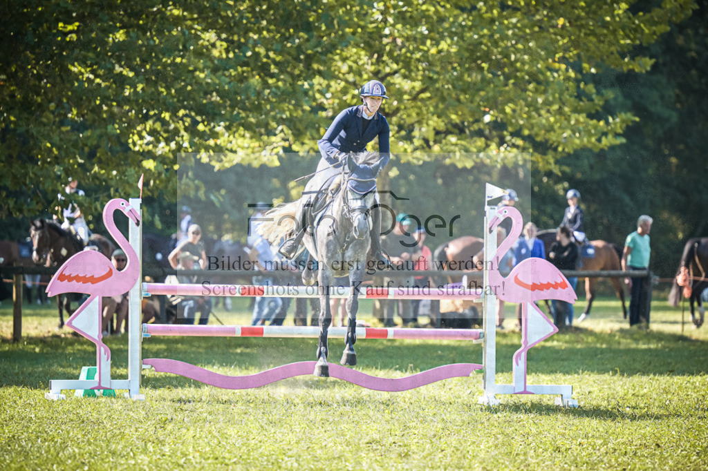 DOS_0273 | Entdecke hochwertige Reitturnierfotos von Foto Oger. Professionell, emotional und authentisch – jetzt Lieblingsmomente im Shop bestellen.Deutschlandweite Turnierfotografie. - Realisiert mit Pictrs.com