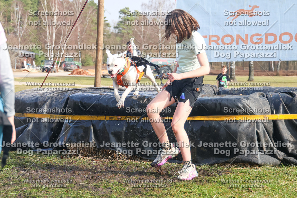 Dog Paparazzi - Strongdog North Mrz26-2185 | Dog Paparazzi Jeanette Grottendiek Fotografie & Videografie - Realisiert mit Pictrs.com