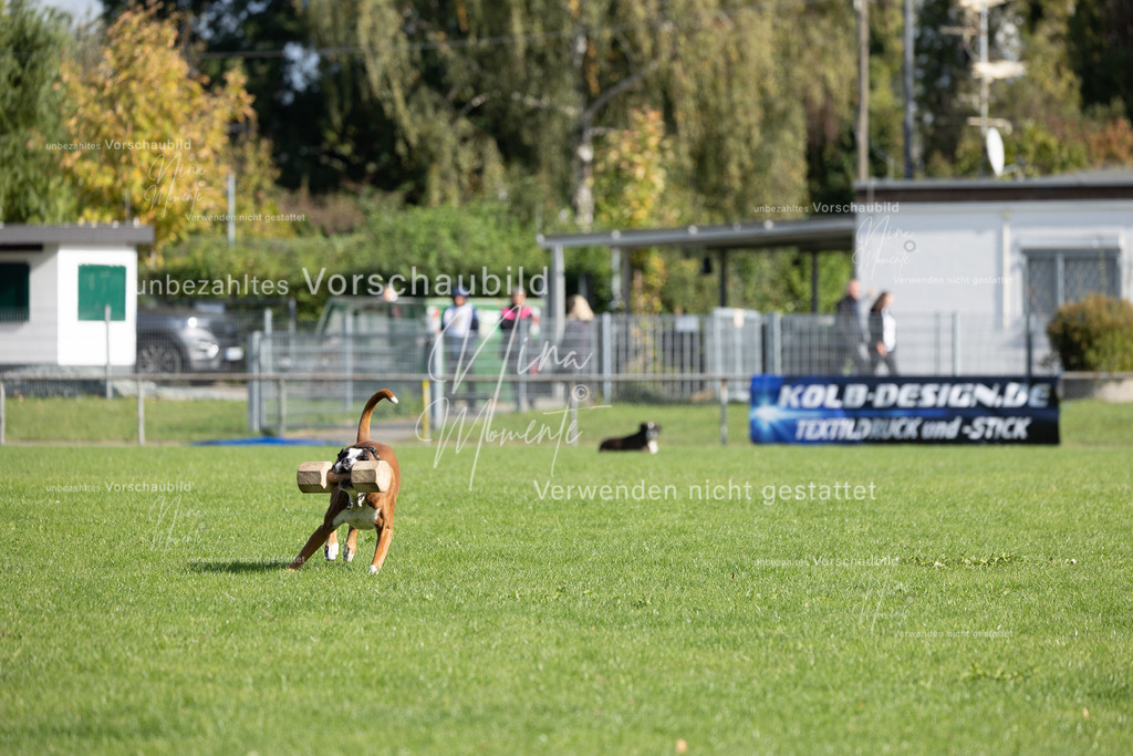 _16A6929 | Einzigartige Fotos von Hunden & Menschen –Actionfotos, Portraits, Vereinsaufnahmen & Paarshootings – authentisch, lebendig & mit Herz.