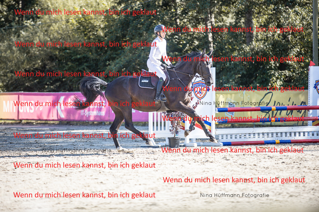 BK1A7374 | Turnierbilder Turnierfotos Nina Hüffmann Turnierfotografie Pferdefotografie Tierzeichnung Haustierzeichnung Pferdezeichnung Hundezeichnung Videograf  - Realisiert mit Pictrs.com
