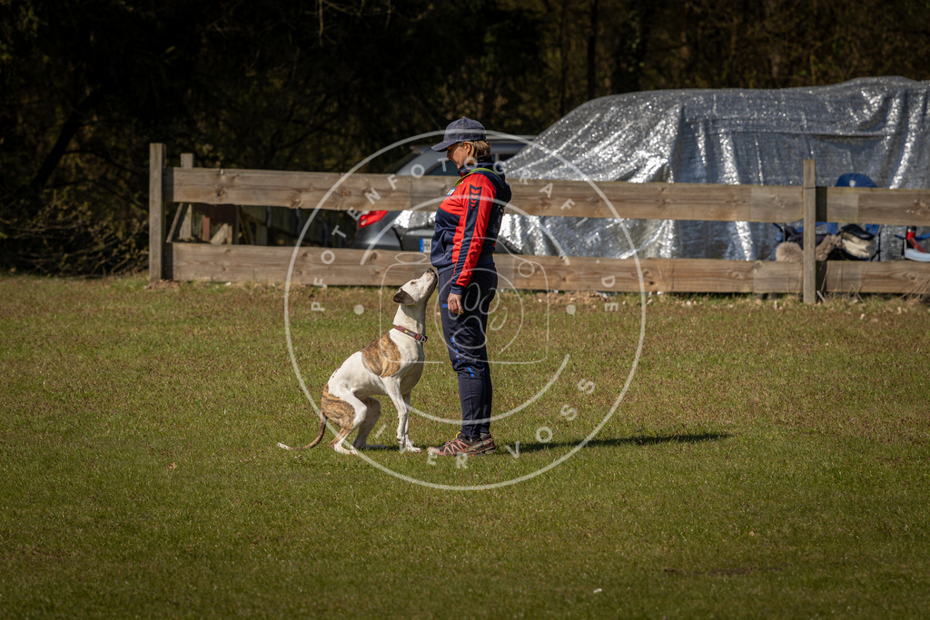 Pfotenfotografie_DV3A0747 | Hundefotografie, Tierfotograf, Pfotenfotografie, Fotoshooting Hund, Hunde Portrait, Hundesport, Hundeportraits, Heideshooting, Hunde, Sportfotograf, Hundefotograf, Turnierhundsport, THS,  - Realisiert mit Pictrs.com