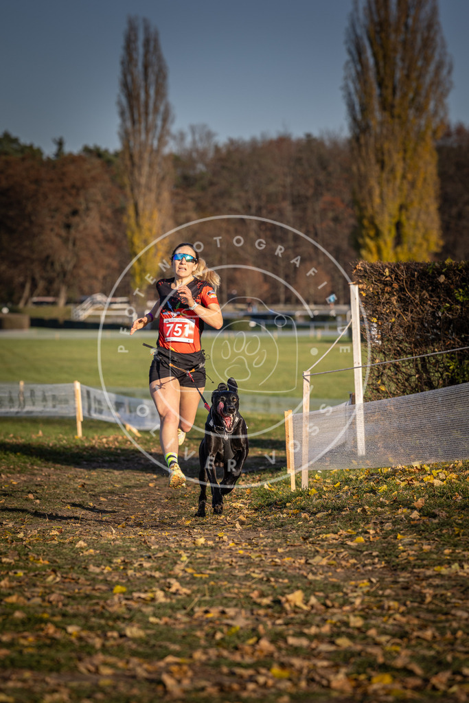 CaniXpix_DV3A2435 | Hundefotografie, Tierfotograf, Pfotenfotografie, Fotoshooting Hund, Hunde Portrait, Hundesport, Hundeportraits, Heideshooting, Hunde, Sportfotograf, Hundefotograf, Turnierhundsport, THS,  - Realisiert mit Pictrs.com