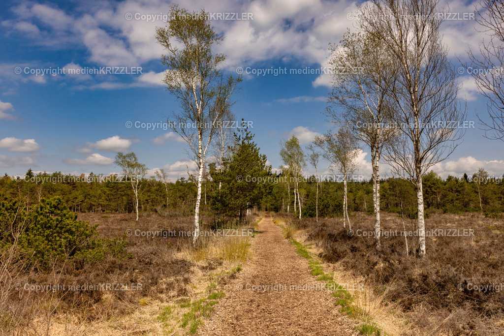 Schönramer Filz | medienkrizzler - Realisiert mit Pictrs.com