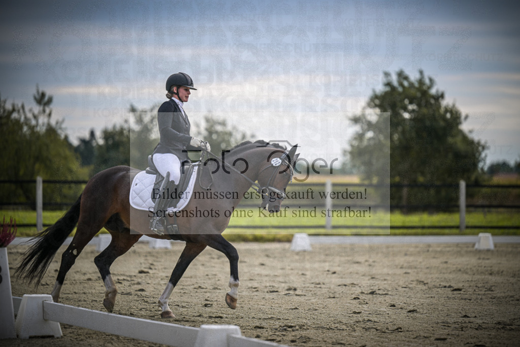 DOS_1051 | Entdecke hochwertige Reitturnierfotos von Foto Oger. Professionell, emotional und authentisch – jetzt Lieblingsmomente im Shop bestellen.Deutschlandweite Turnierfotografie. - Realisiert mit Pictrs.com