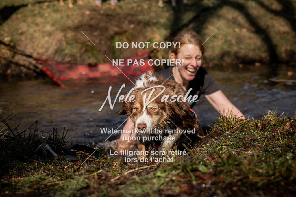 nelerasche_FS1100-1145_108 | nelerasche