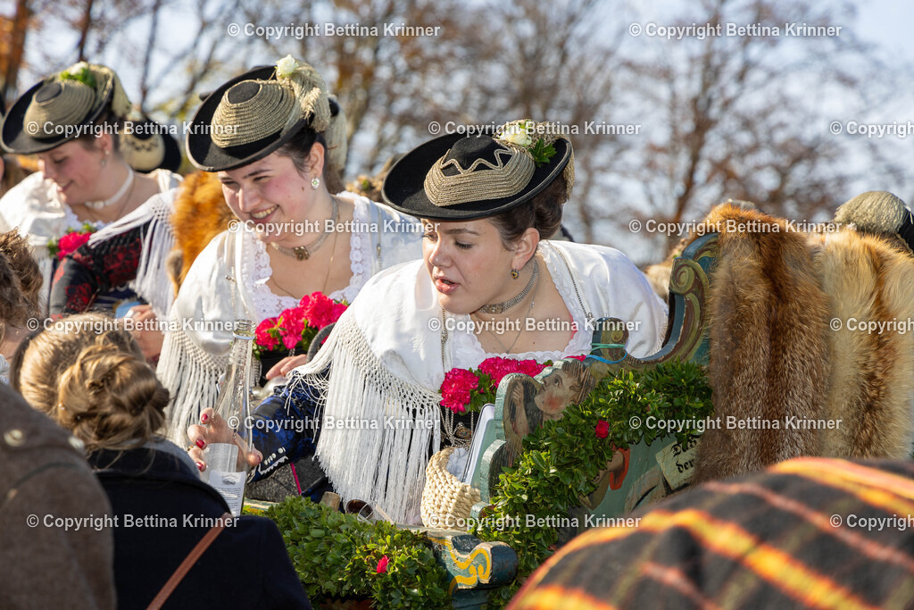 LBT24-1111 | foto-bettina-krinner - Realisiert mit Pictrs.com