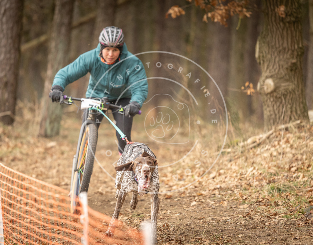 Pfotenfotografie_DV3A3925 | Hundefotografie, Tierfotograf, Pfotenfotografie, Fotoshooting Hund, Hunde Portrait, Hundesport, Hundeportraits, Heideshooting, Hunde, Sportfotograf, Hundefotograf, Turnierhundsport, THS,  - Realisiert mit Pictrs.com
