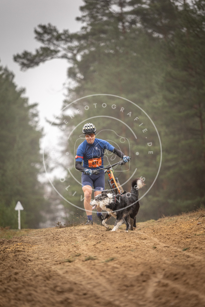 Pfotenfotografie_DV3A2753 | Hundefotografie, Tierfotograf, Pfotenfotografie, Fotoshooting Hund, Hunde Portrait, Hundesport, Hundeportraits, Heideshooting, Hunde, Sportfotograf, Hundefotograf, Turnierhundsport, THS,  - Realisiert mit Pictrs.com