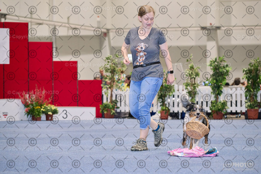 202406_ÖKV-IHA-Tulln24_NZ9_7698 | proPHOTO - Realisiert mit Pictrs.com