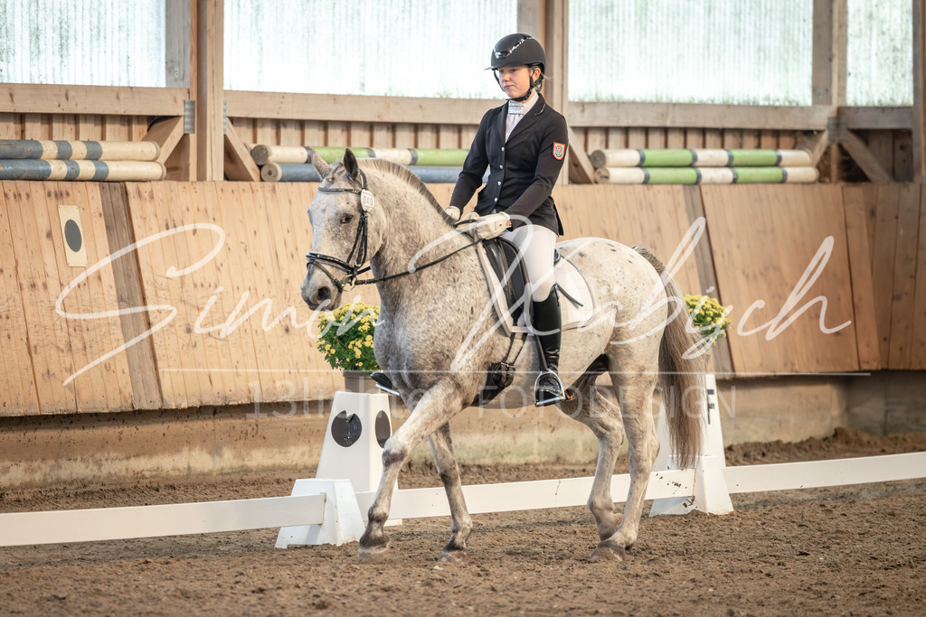 20251011-_3LI6826 | Tierfotografie Pferde, Hunde, Katzen, Haustiere.
Turnierfotografie Reitturniere, Reiten, Springreiten, Dressur in Hanau, dem Main-Kinzig-Kreis und dem Rhein-Main- Gebiet um Frankfurt