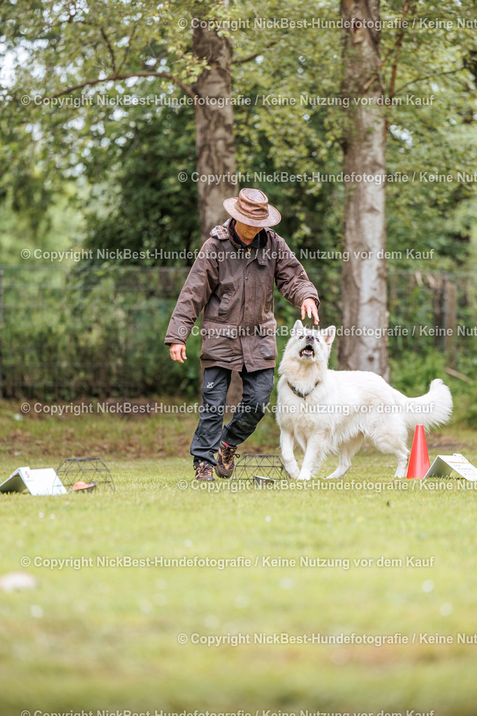 RO-Blumenthal-2026-Nickbest-Hundefotografie-1992 | Dein Hund! Dein Moment! Deine Erinnerungen! Hundefotografie in Bremen Blumenthal. Ich fange die besonderen Momente deines Vierbeiners ein – ob Indoor mit Blitzanlage oder in der freien Natur. Sicher dir dein Moment und dein Termin für eure Erinnerungen.