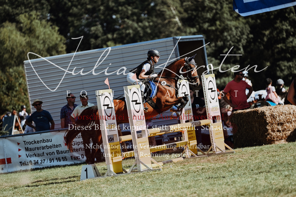 DSC_6917 | Pferde- und Turnierfotografie in Westsachsen. Pferdeportraits, Auftragszeichnungen und intuitive Kunst.