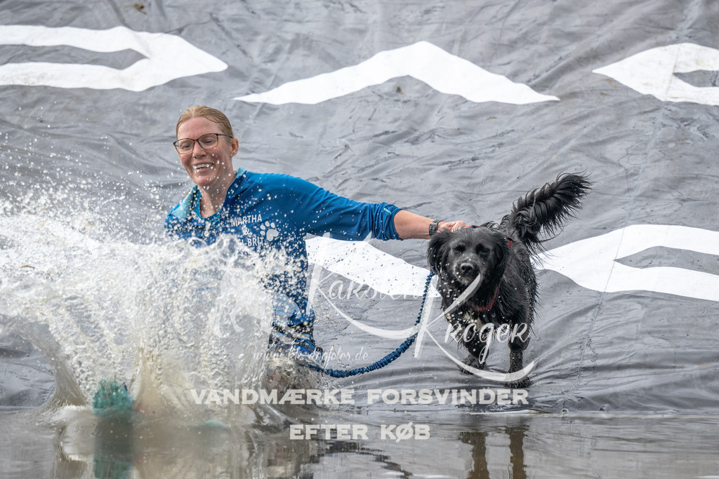 1203_ZZ94155 | kk-dogfotos
