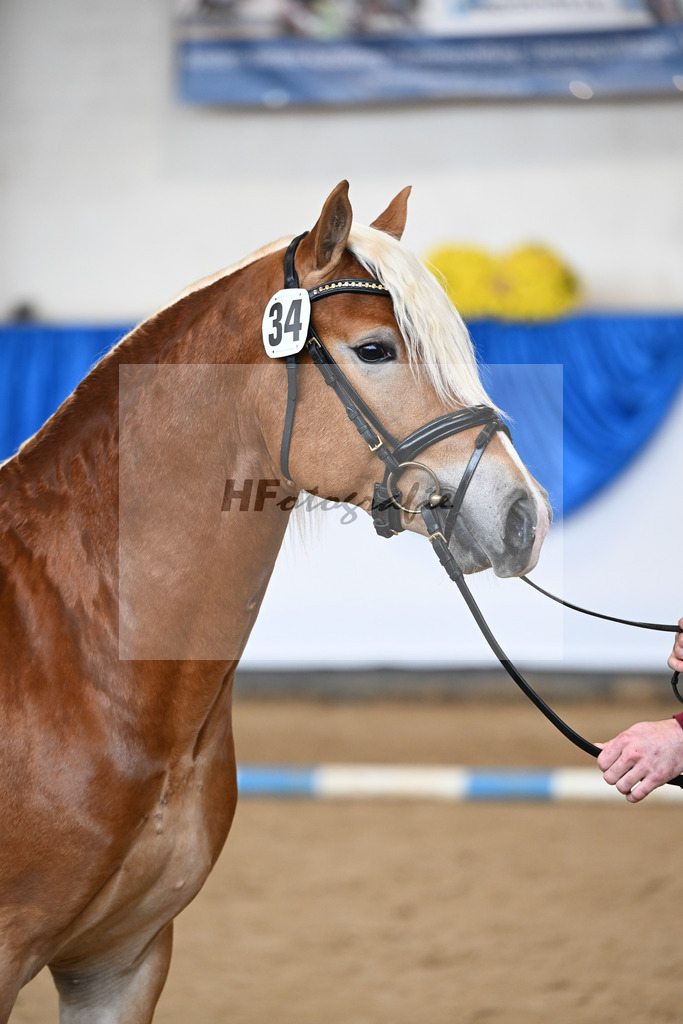 Kat-Nr. 34 nn v. Starino I_Grimminger_48251158 | hf-fotografie - Realisiert mit Pictrs.com