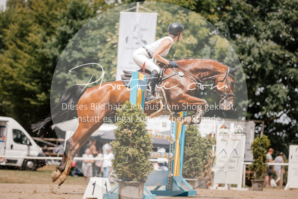 3I6A7811 | Stimmungsvolle Portraits und Reitsportfotografie im Ruhrgebiet und im Münsterland.

Pferdefotografie, Hundefotografie, Tierfotografie, Reportagen, Portraits von Tier und Mensch, Turnierfotografie in Bochum, Recklinghausen, Marl, Haltern am See, Dülmen.. - Realisiert mit Pictrs.com