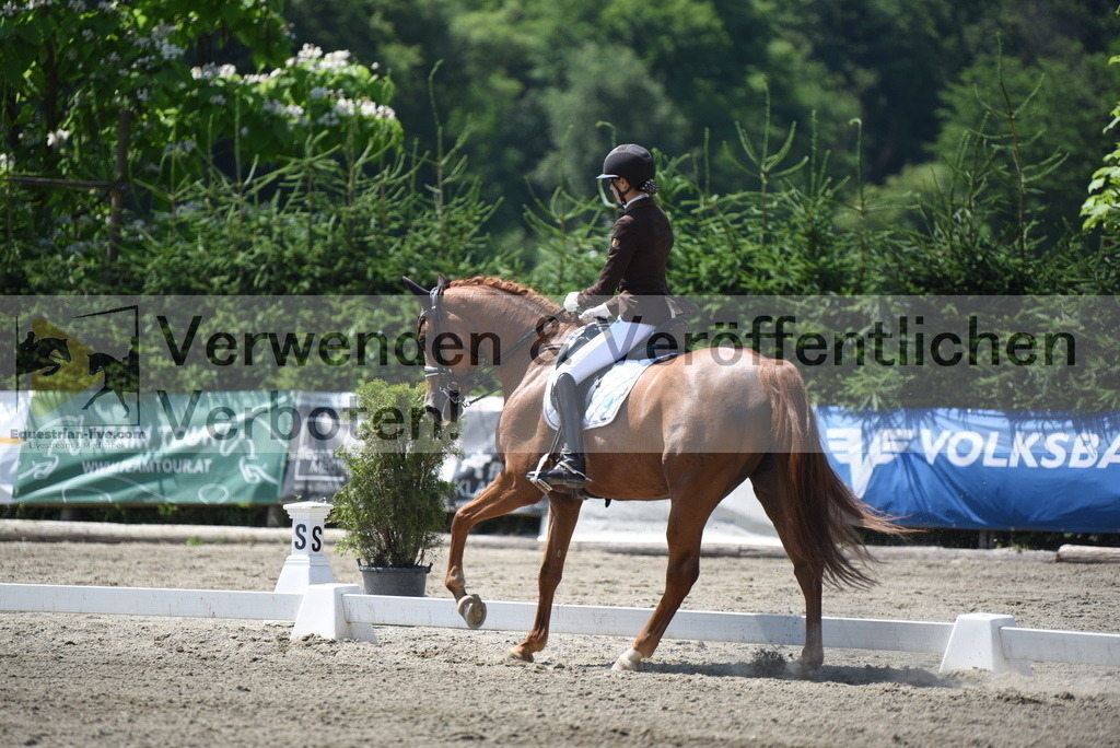 DSC_1475 | equestrian-live-com