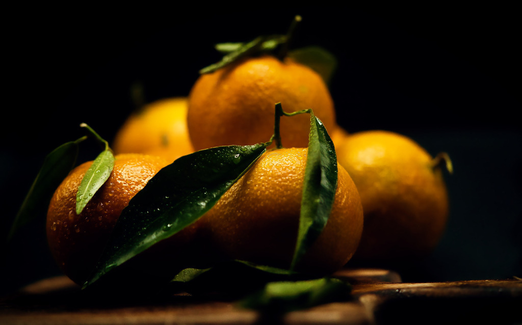 Clementine | die schönsten Bilder aus Wald und Wiese, sowie Streifzüge durch den Garten mit der gesamten Blumen & Insektenwelt.   - Realisiert mit Pictrs.com