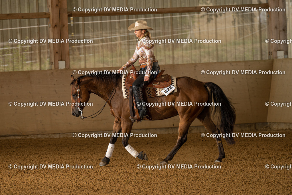 LAU00933 | dv-media-shop - Realisiert mit Pictrs.com