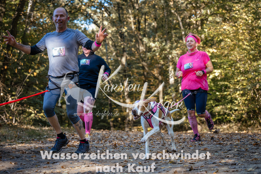 1108_ZZ91732 | kk-dogfotos