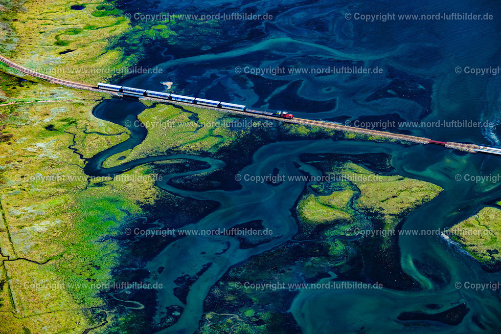 Wangerooge_Inselbahn_Seegraswiesen_ELS_8442050923 | WANGEROOGE 05.09.2023 Grasflächen- Strukturen einer Hallig- Landschaft mit fahrenden Zug der Wangerooger Inselbahn - Schmalspurbahn in Wangerooge im Bundesland Niedersachsen, Deutschland. Weiterführende Informationen bei: Deutsche Bahn Stiftung gGmbH DB Museum,  Kurverwaltung Nordseeheilbad Wangerooge. // Grassland structures of a Hallig landscape with moving train of the Wangerooger Inselbahn - narrow-gauge railway in Wangerooge in the state Lower Saxony, Germany. Further information at: Deutsche Bahn Stiftung gGmbH DB Museum,  Kurverwaltung Nordseeheilbad Wangerooge. Foto: Martin Elsen