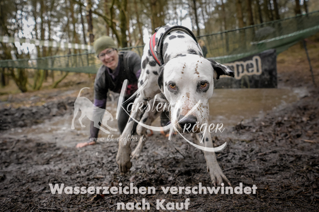 1019_ZZ90513 | kk-dogfotos