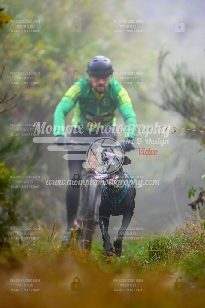 MompixPhotography_20TSB_E4_Bike-83 | PayLife