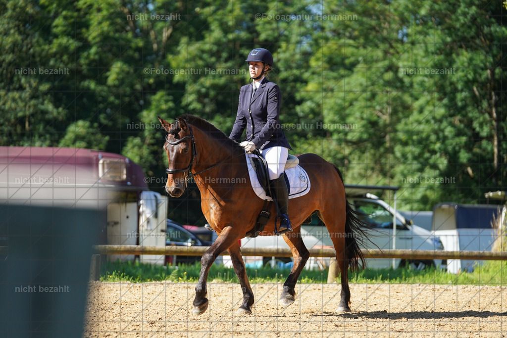 20240706-FAH04517 | Grafing Turnierfotos, Reitverein Ebersberg, Turnierfotografen Bayern, reitsportbilder, Pferdefotograf, reitsportfotograf, Sportbilder, Reitsportfotografie, Fotoagentur Herrmann, Turnierfotograf