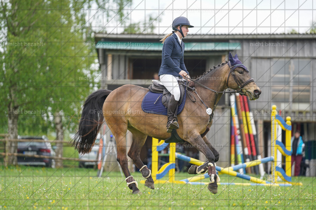 20240509-FAH02614 | Turnierbilder der Turnierfotografen Bayern, Pferdesport Fotografie, Reitsportbilder, Turnier Landberg am Lech, Turnierbilder bayern, Fotoagentur Herrmann
