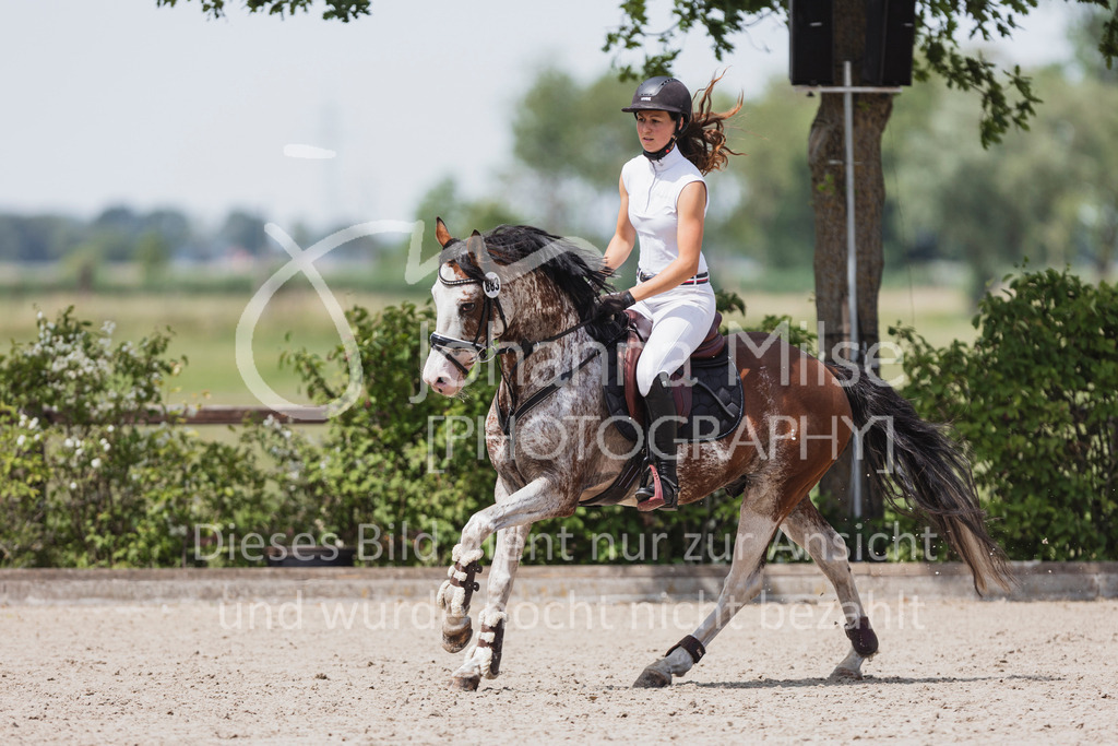 250622_Lemwerder_L-Spr-617 | Deine schönsten Turniermomente als professionelle Fotos! Entdecke hochwertige Pferdesport-Fotografie im Online-Shop. Jetzt Fotos finden & bestellen!