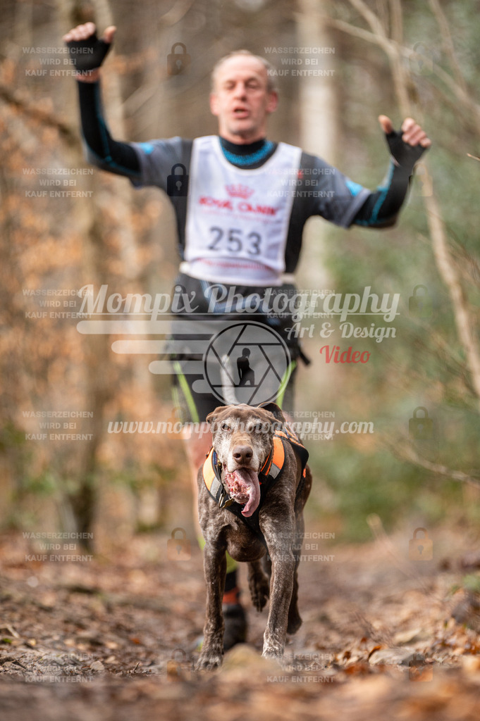 SPA_2023_DIM_CCK-5 | PayLife